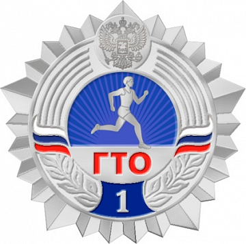 Подготовка к сдаче норм ГТО